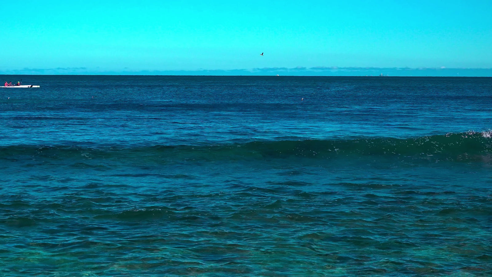 sea video